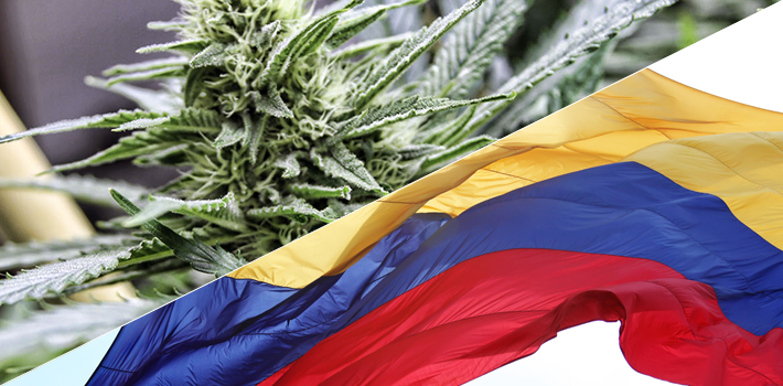 If Colombia were to legalize marijuana, it would boost tourism, local industry, exports to the largest consumer market in the world.