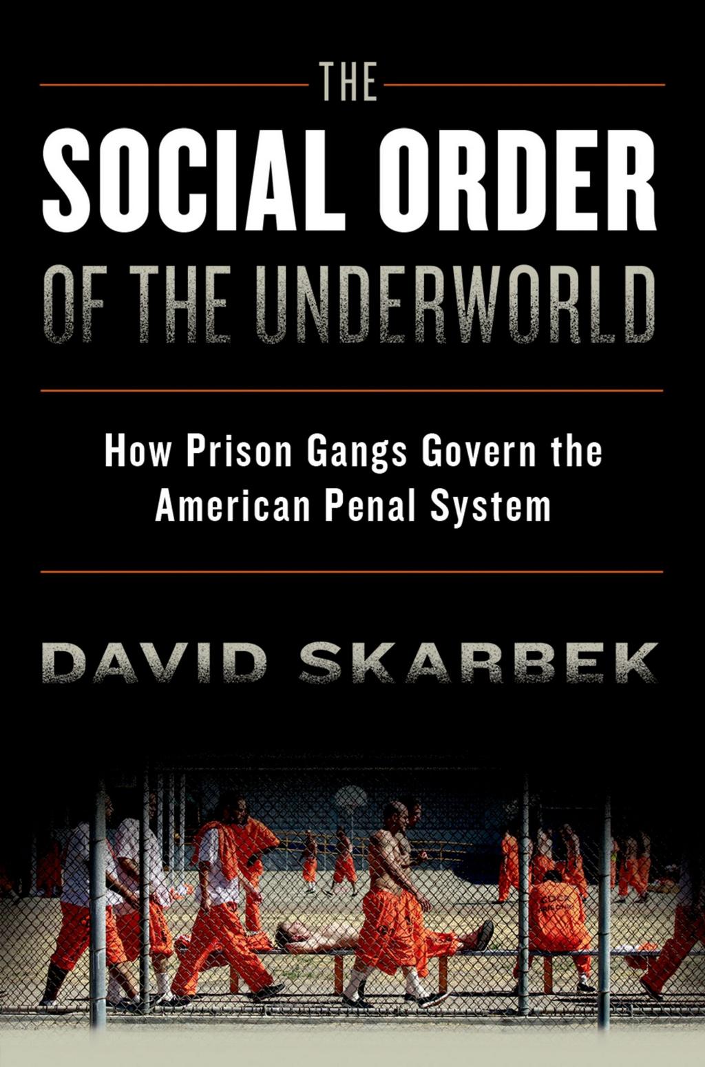 The Social Order of the Underworld by David Skarbek