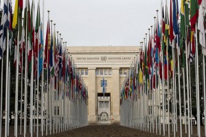 The United Nations has voted to appoint a special investigator that will look into violations of privacy globally. 