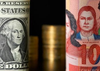 Desafíos económicos en Bolivia: navegando la crisis cambiaria