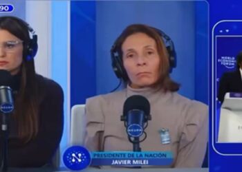 Javier Milei respaldó a Martín Menem, pero hay dudas en la militancia