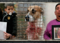 De la tragedia de tener que enterrar a su hija a defender la inocencia de un perro callejero