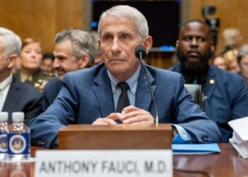 Comité del Senado declara a Fauci en desacato y Trump responde: «Debería ser procesado»