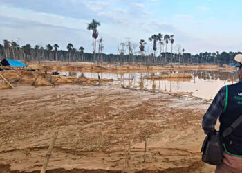 Síndrome de Hubris: la inacción del Estado frente a la minería ilegal en Perú