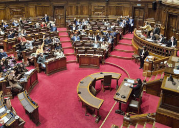 La perversión del rol de los parlamentarios