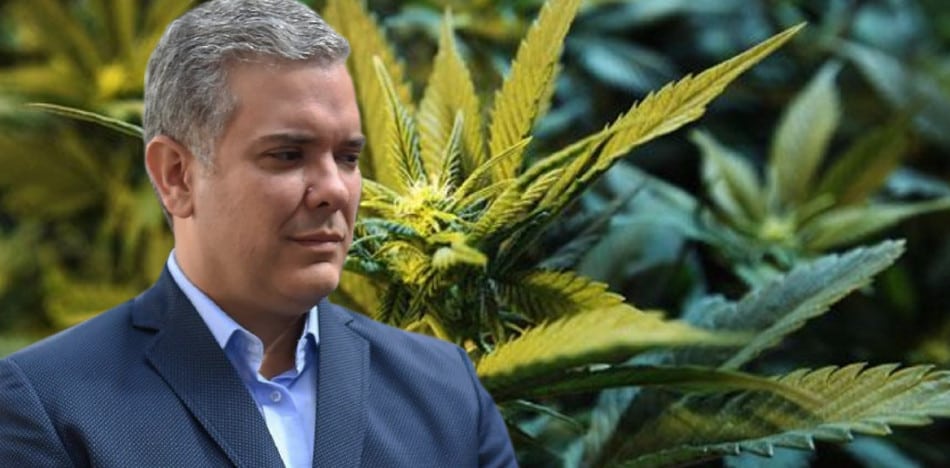 Decreto Duque Drogas