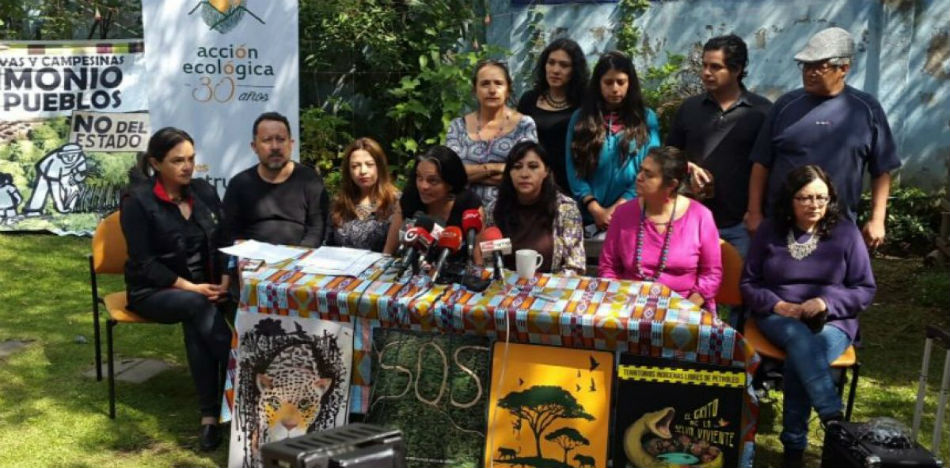 Ecuador: ONU condena medidas represivas de Correa contra ONG Acción Ecológica