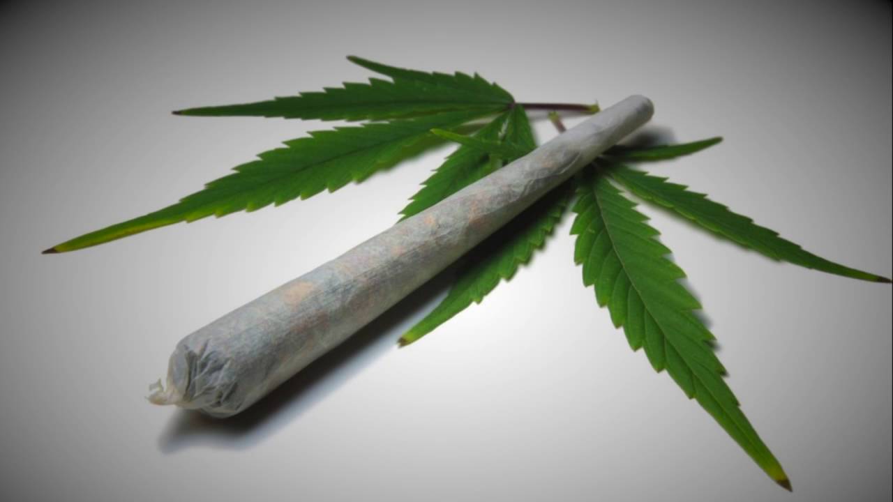 Legalización Marihuana Canadá