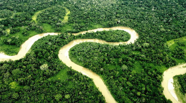 La reserva Yasuní y el autoritarismo de Correa