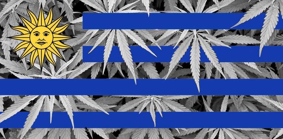 Gobierno de Uruguay permitirá venta de marihuana fuera de farmacias para evitar problemas con bancos