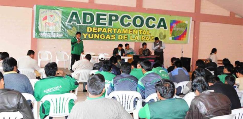 Bolivia: cocaleros amenazan con cercar el Congreso contra ley que limita áreas de cultivo