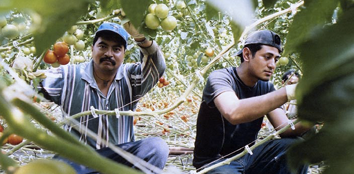 Salida, voz y justicia para los trabajadores inmigrantes en Canadá