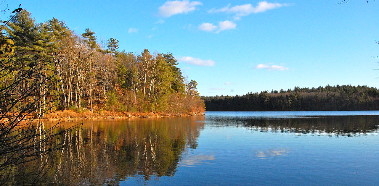Henry David Thoreau, el libertario original del «Camino Salvaje»