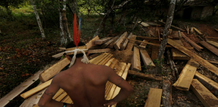 Brasil es el país más peligroso para ecologistas