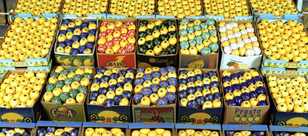 Estados Unidos autoriza la importación de limones argentinos
